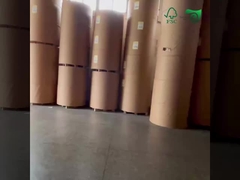 Warehouse Video of Sunxiang Paper White Cardboard and Coated Cardboard